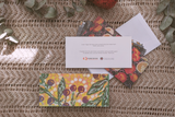 Julia's Paintings Pack Christmas Cards