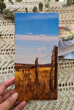 Red Dirt Pack Christmas Cards