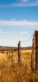Red Dirt Pack Christmas Cards
