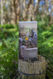 Red Dirt Pack Christmas Cards
