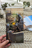 Red Dirt Pack Christmas Cards