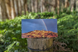Red Dirt Pack Christmas Cards