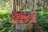 Red Dirt Pack Christmas Cards