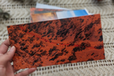Red Dirt Pack Christmas Cards