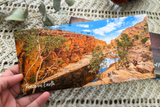 Three Wise Men Pack Christmas Cards