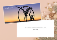 2025 Christmas Cards