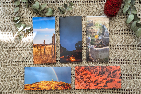 Red Dirt Pack Christmas Cards